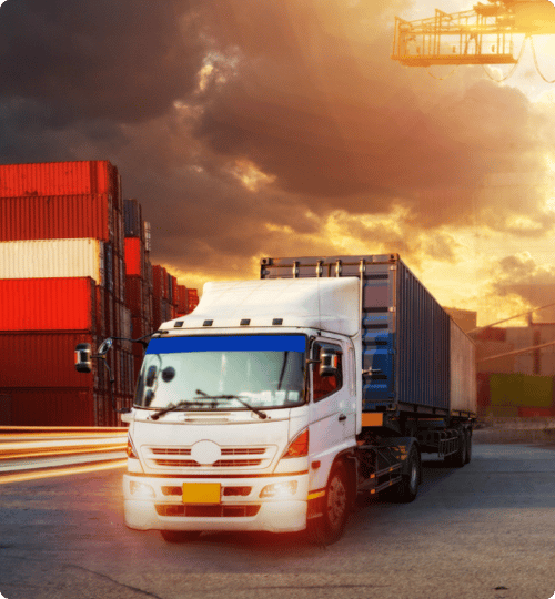 The Beauty of Lorem Ipsum: A Visual Exploration