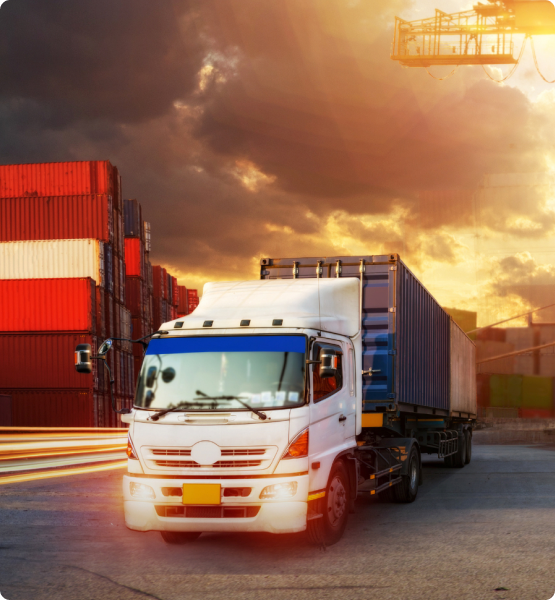 The Beauty of Lorem Ipsum: A Visual Exploration