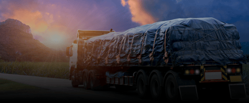 Lorem Ipsum in the Digital Age: Relevance and Evolution