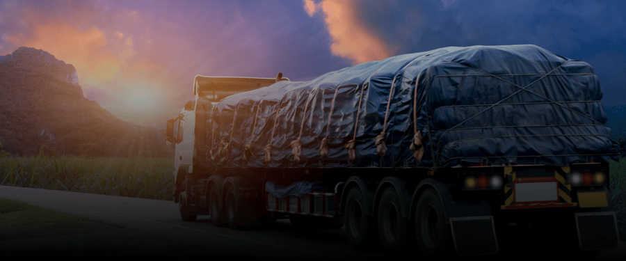 Lorem Ipsum in the Digital Age: Relevance and Evolution