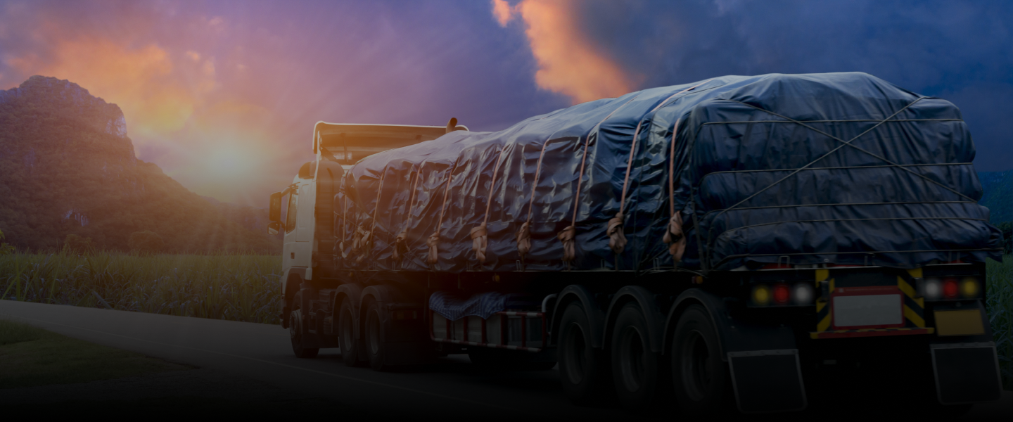 Lorem Ipsum in the Digital Age: Relevance and Evolution